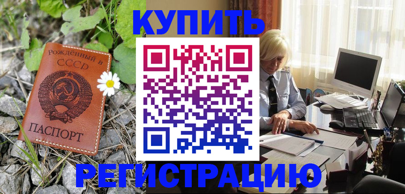 временная регистрация недорого в Змеиногорске